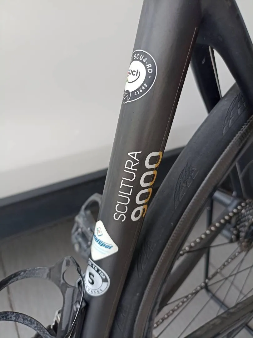 Merida scultura 9000