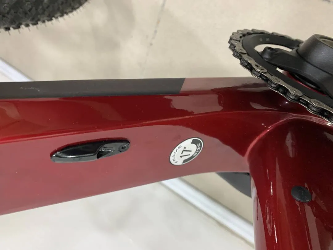 Raleigh carbon MTB 29â€ 2021