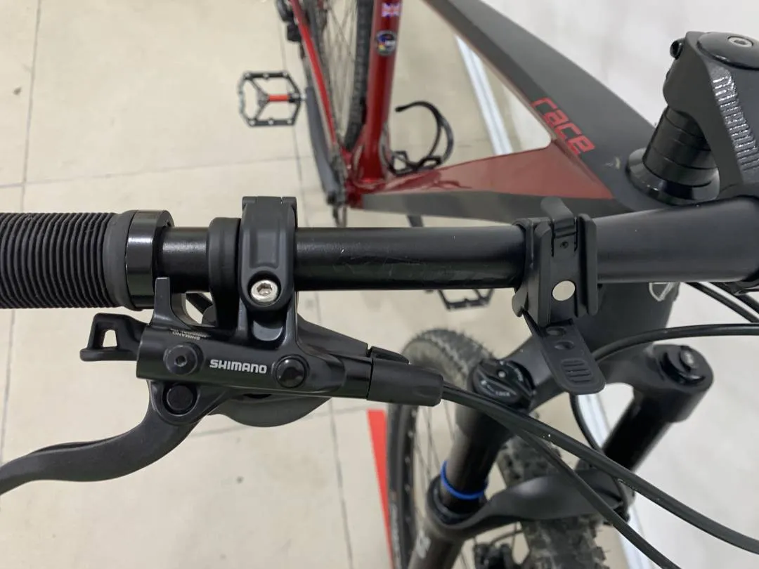 Raleigh carbon MTB 29â€ 2021