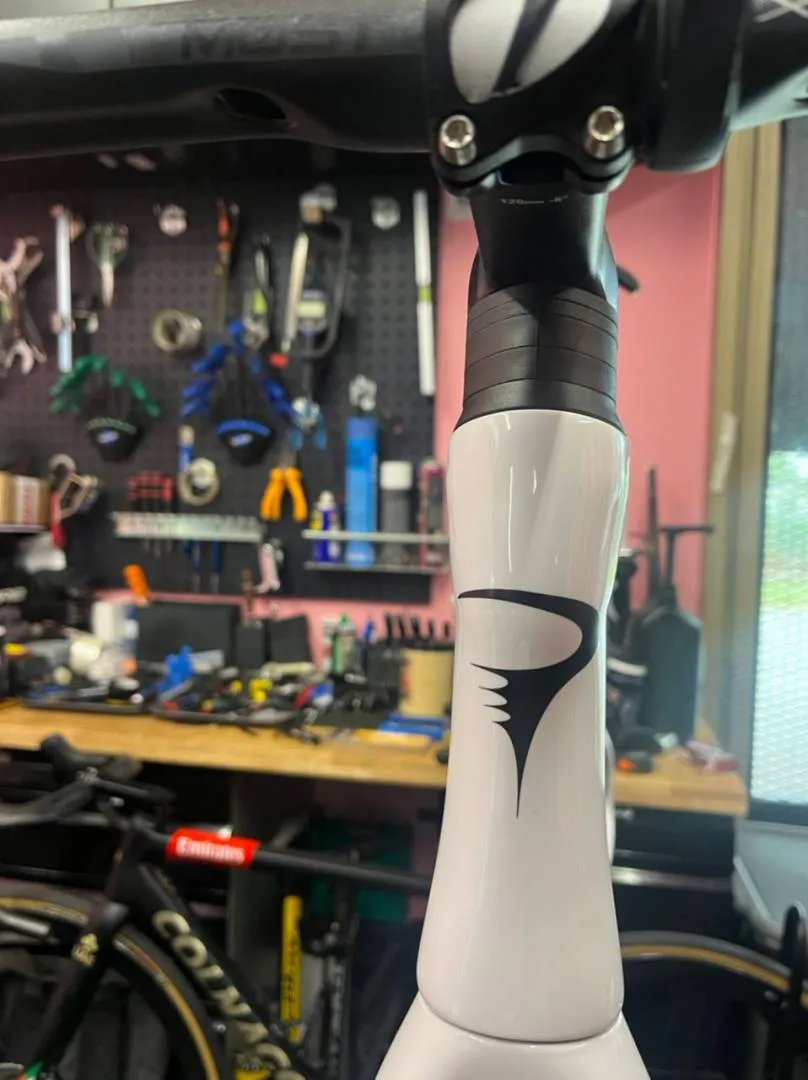 Pinarello Prince Frameset