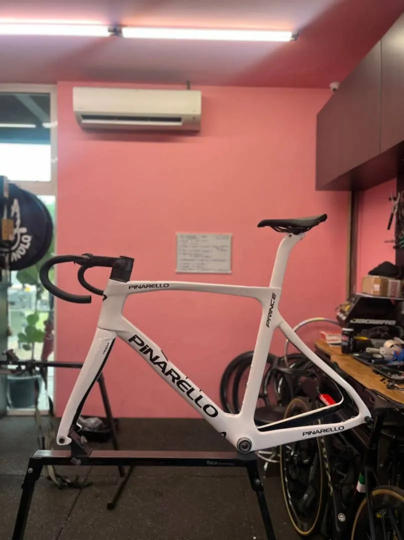 Pinarello Prince Frameset