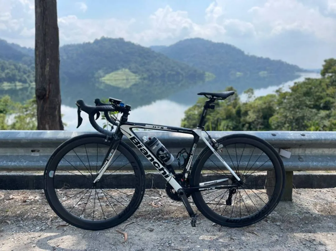 Bianchi Sempre pro