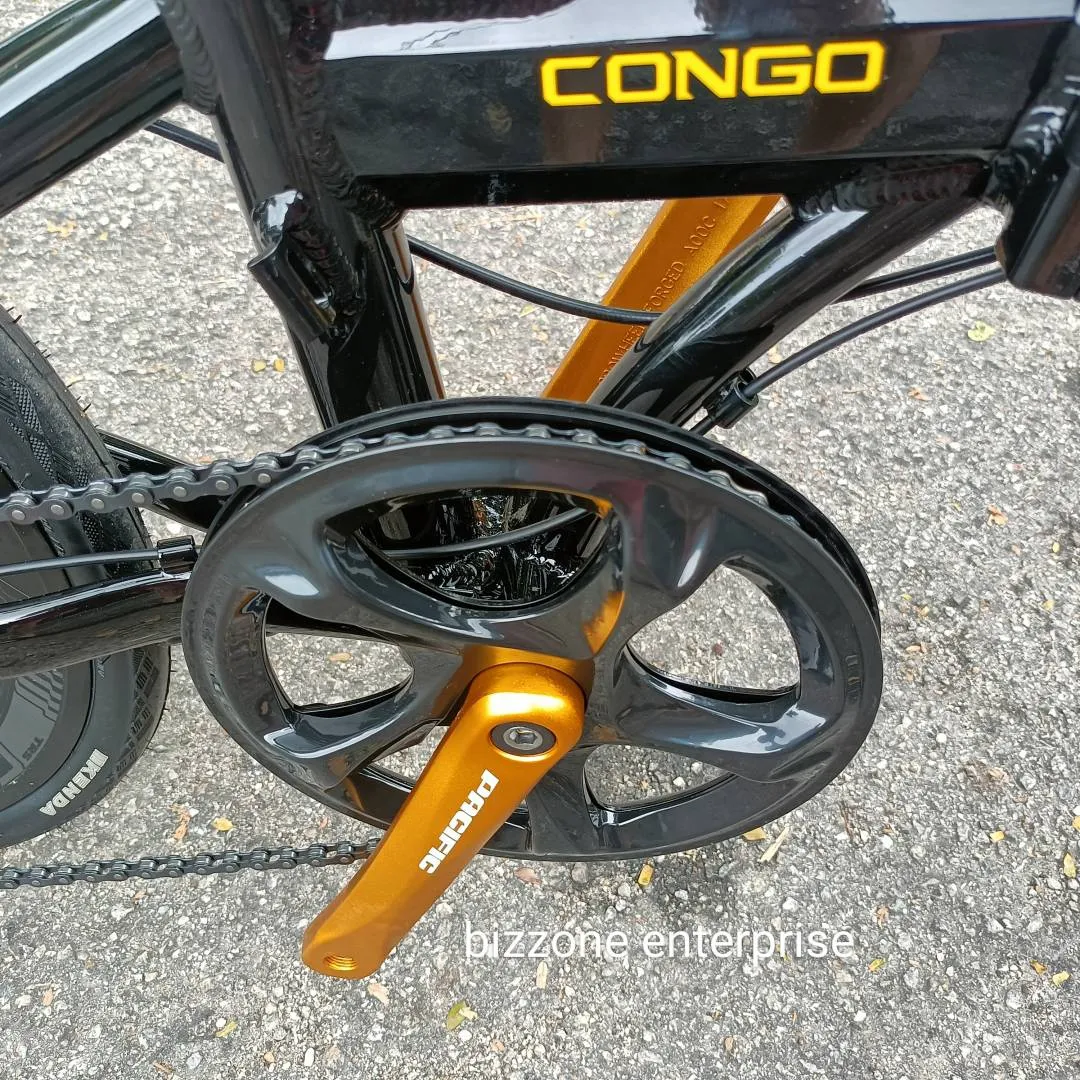 New 20â€œ 451 trs congo 8sp bike folding basikal lipat