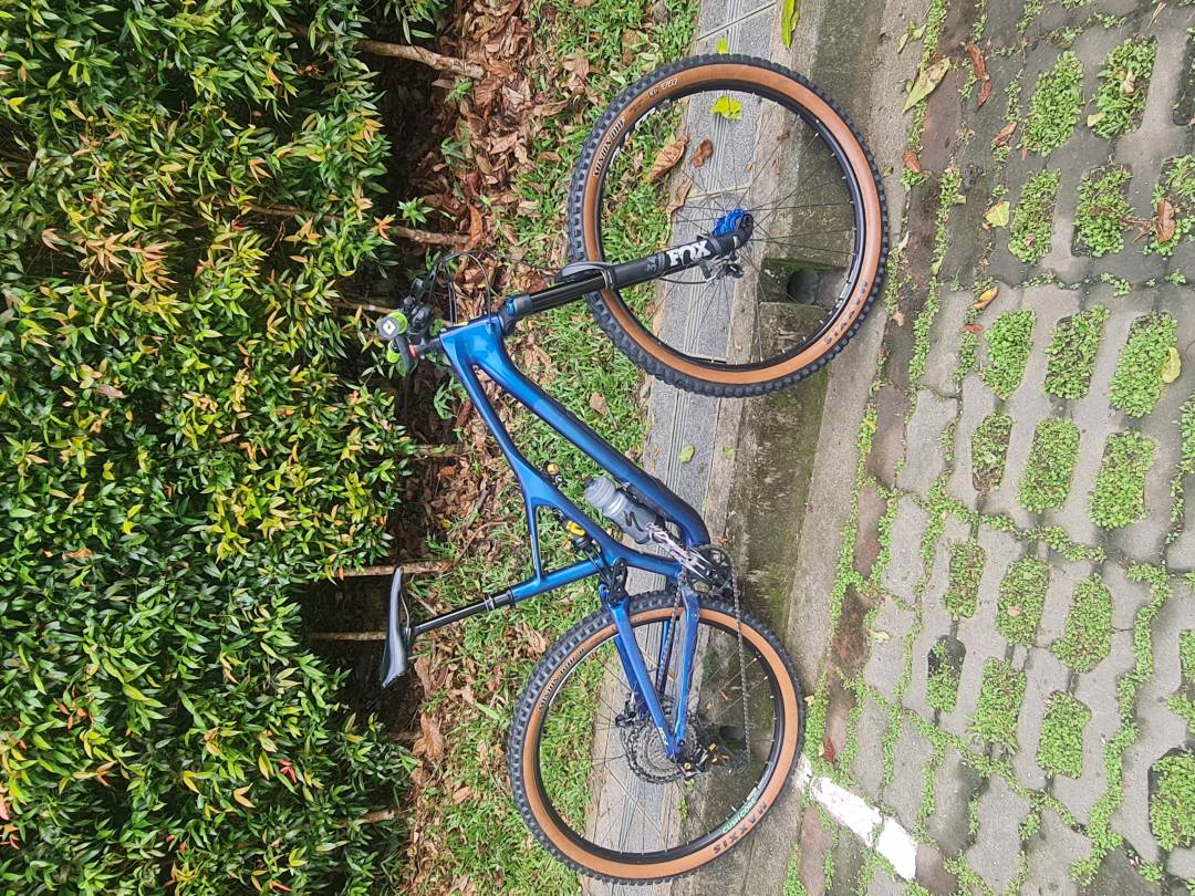 Specialized stumpjumper carbon comp 29er