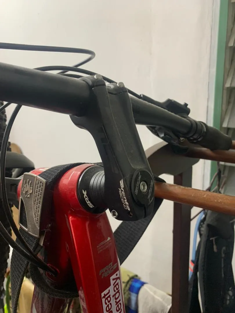 mtb xds romance limited edition