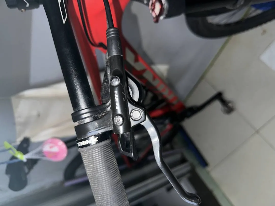 trinx 29 carbon