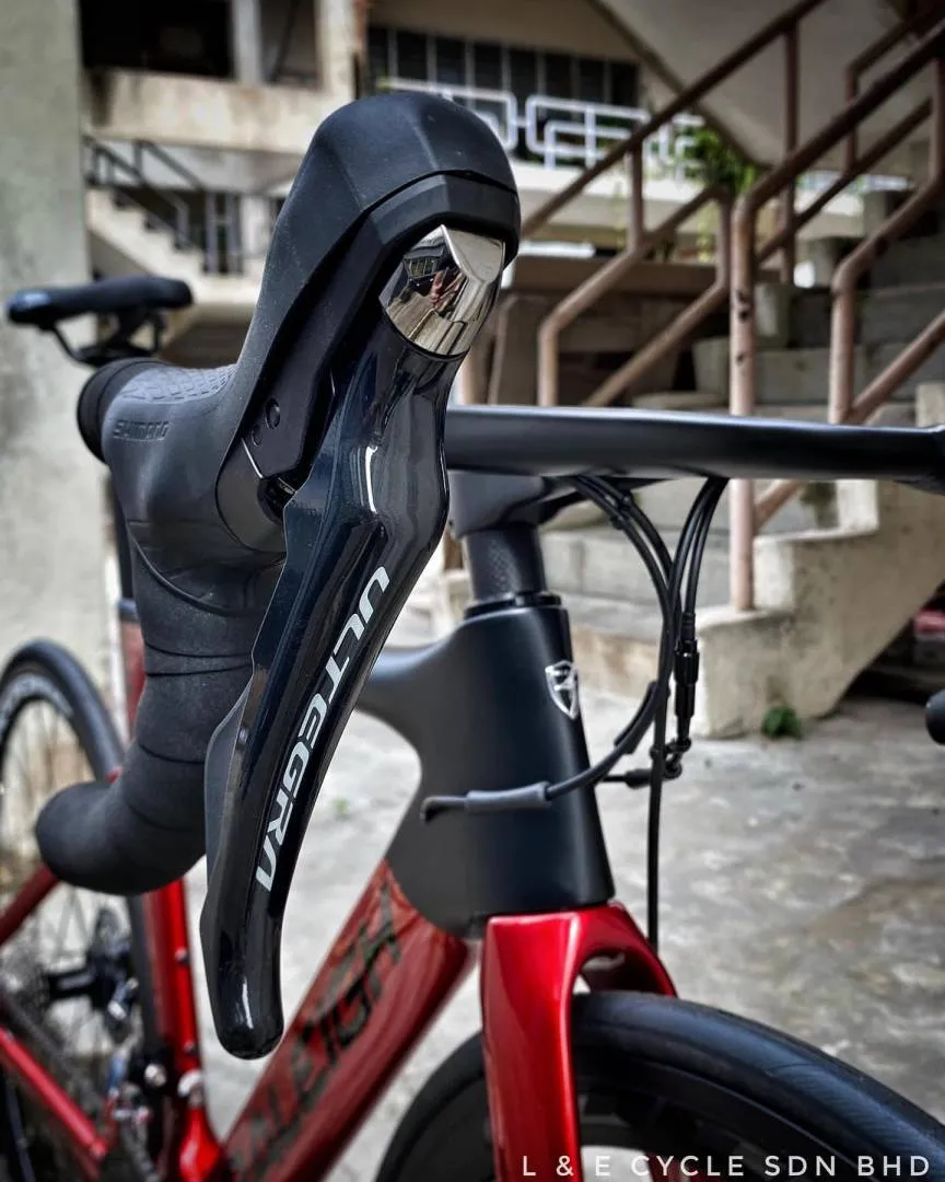RALEIGH DICE Ultegra