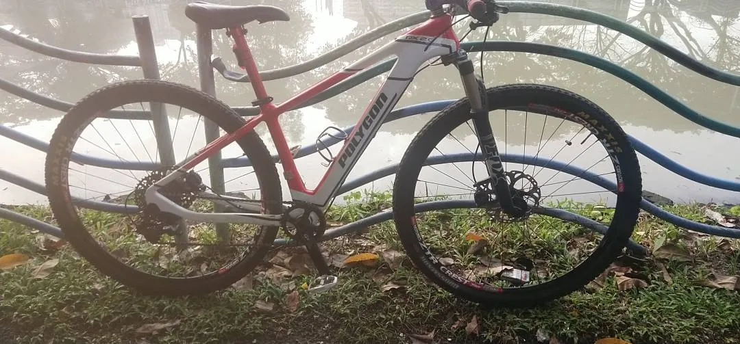 Mtb polygon rx2.0 carbon