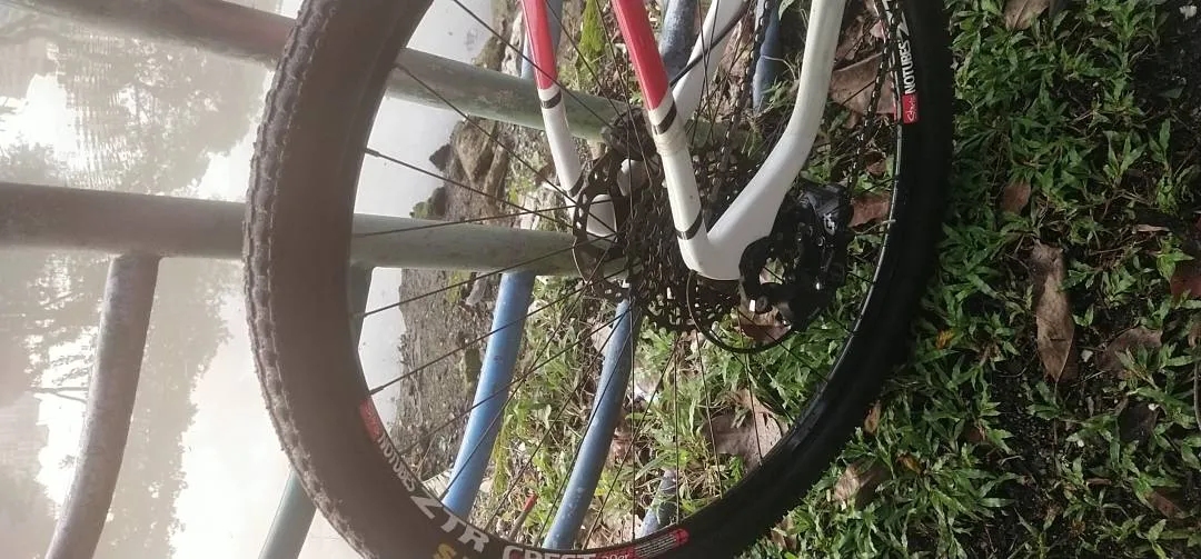 Mtb polygon rx2.0 carbon