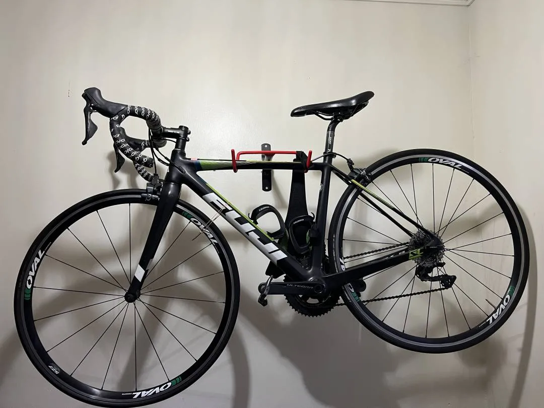 Fuji Carbon Road Bike