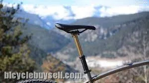 2022/2023 Fox Transfer Factory Kashima Coated Dropper Post