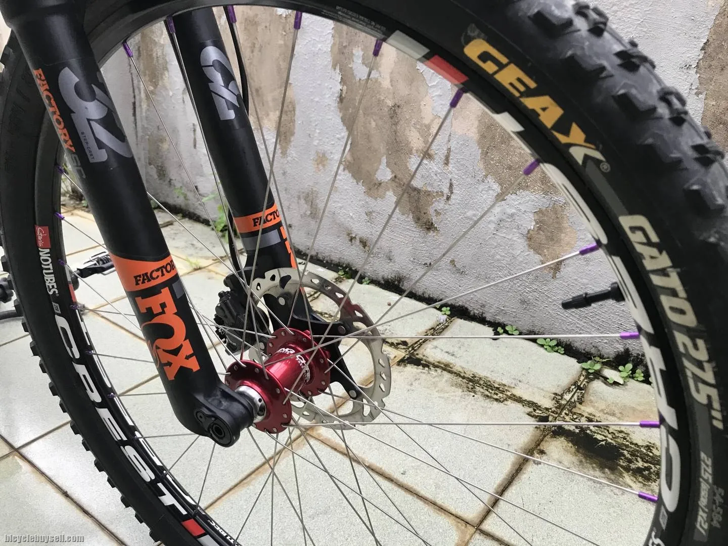 Scott Scale 730 Hardtail Carbon