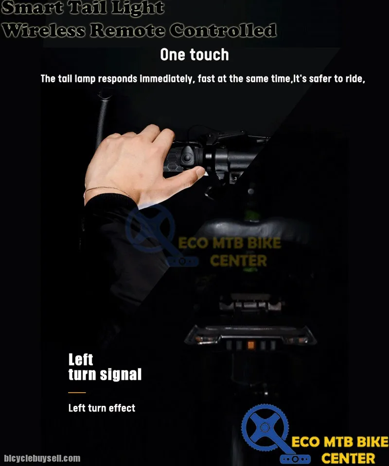 Smart Tail Light Wireless Remote Controlled (0118-A9)