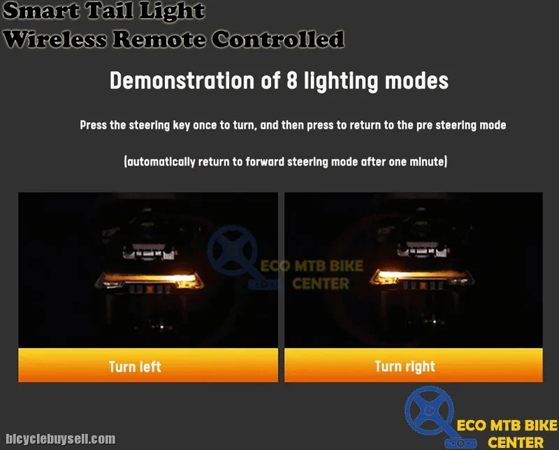 Smart Tail Light Wireless Remote Controlled (0118-A9)