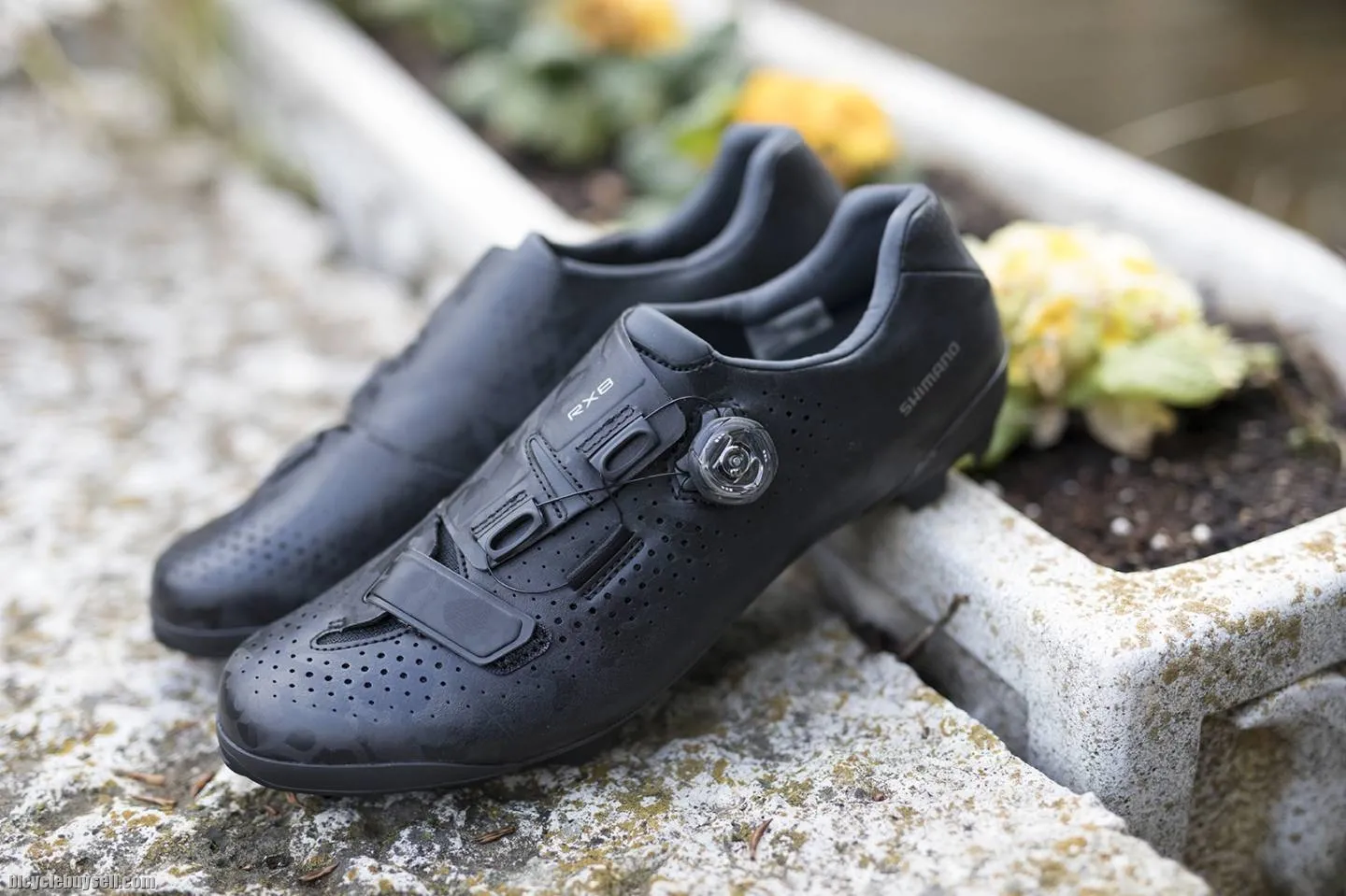 Shimano SH-RX8 Gravel Racing Shoe RX800 CARBON