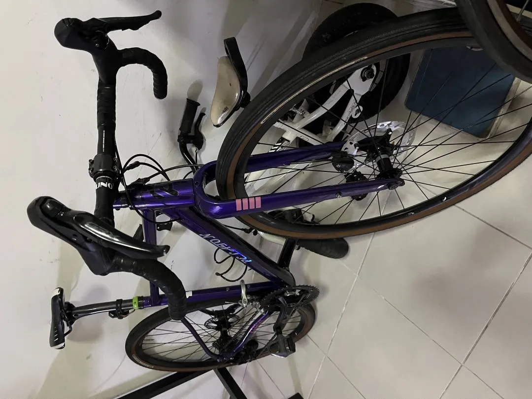 Custom Gravel Bike