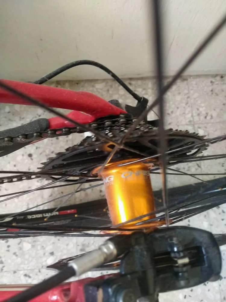 SPECIALIZED sworks