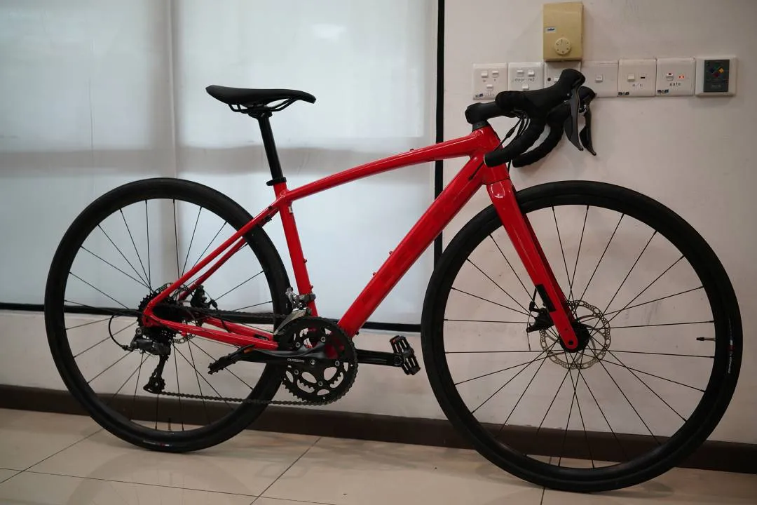 Trek Domane AL 2 Disc