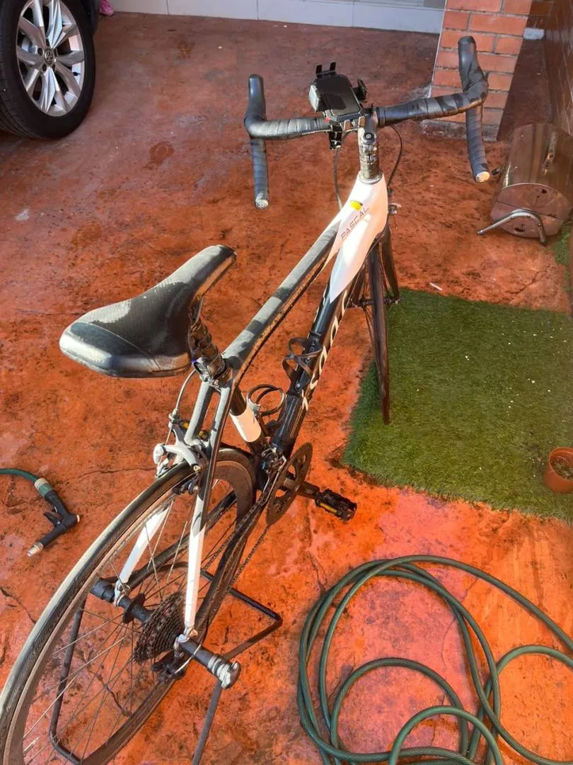 Roadbike Isaac Pascal Carbon 22 Speed