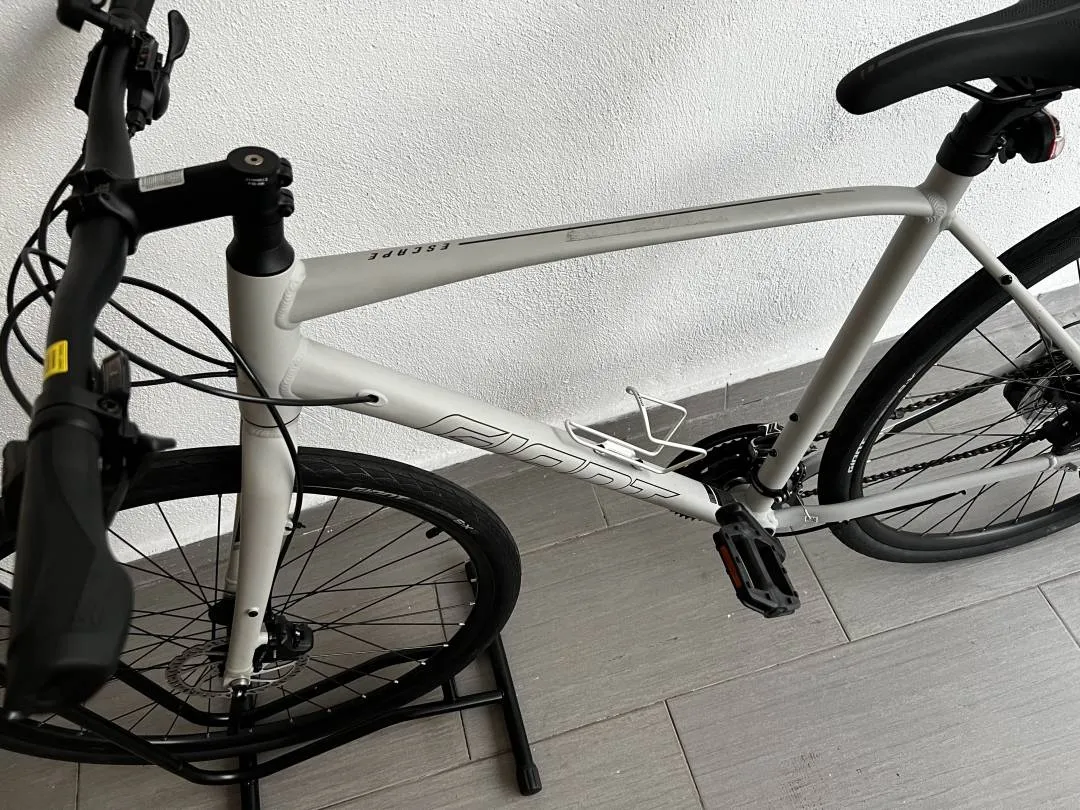 Giant Escape 2 Size L for Sale