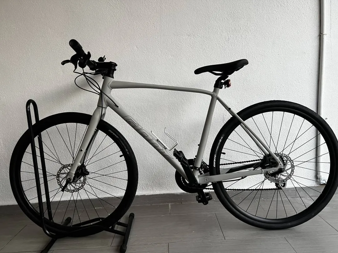 Giant Escape 2 Size L for Sale