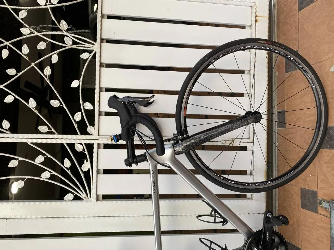 Yoeleo R11 Carbon Bike