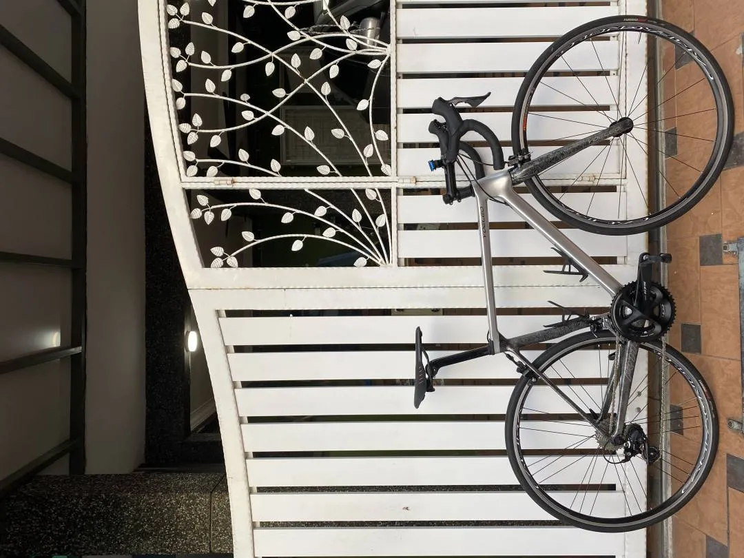 Yoeleo R11 Carbon Bike