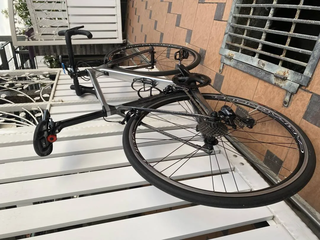 Yoeleo R11 Carbon Bike