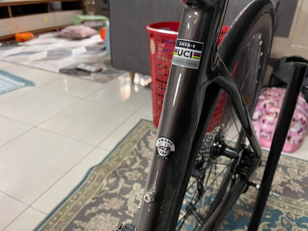 Alcott Rossa Swift 2022
