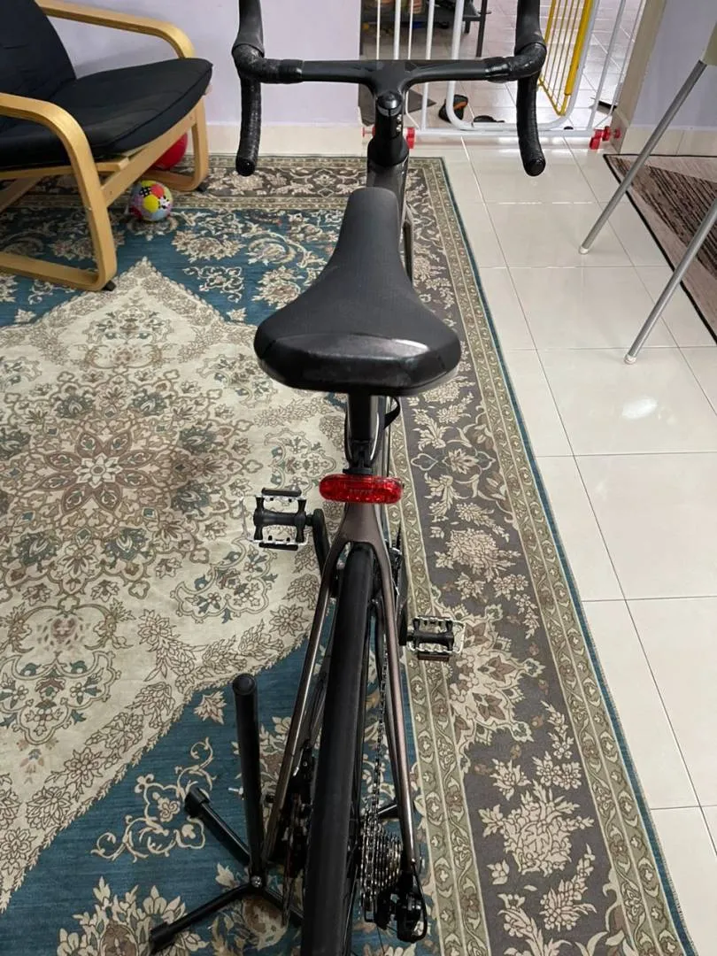 Alcott Rossa Swift 2022
