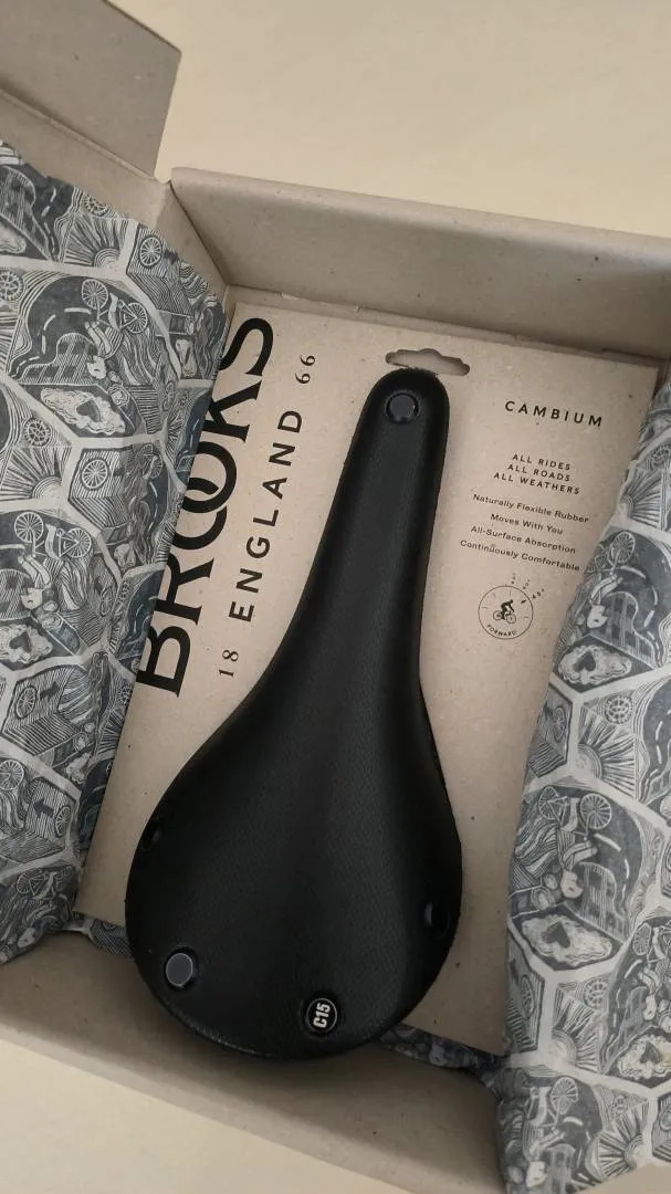 Brooks cambium c15