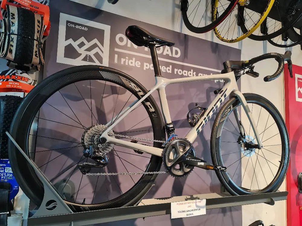 Giant TCR 2020 model