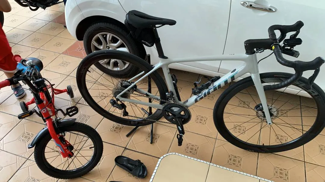 Giant TCR 2020 model