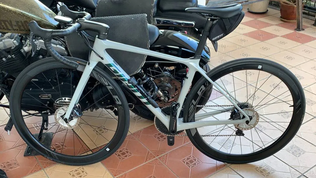 Giant TCR 2020 model