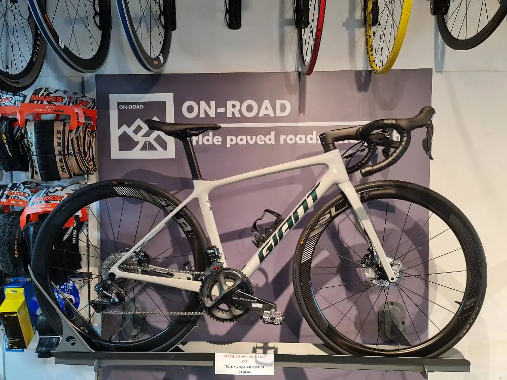 Giant TCR 2020 model