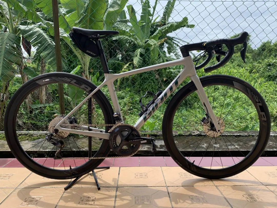 Giant TCR 2020 model