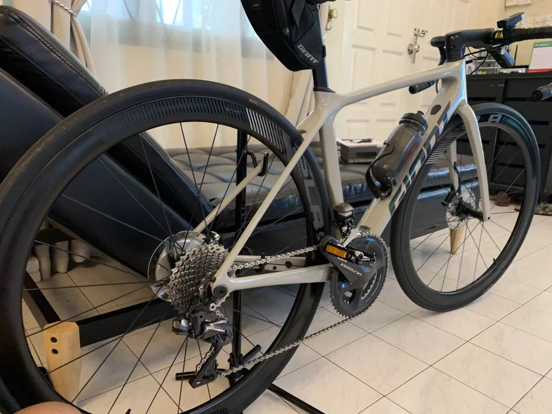 Giant TCR 2020 model