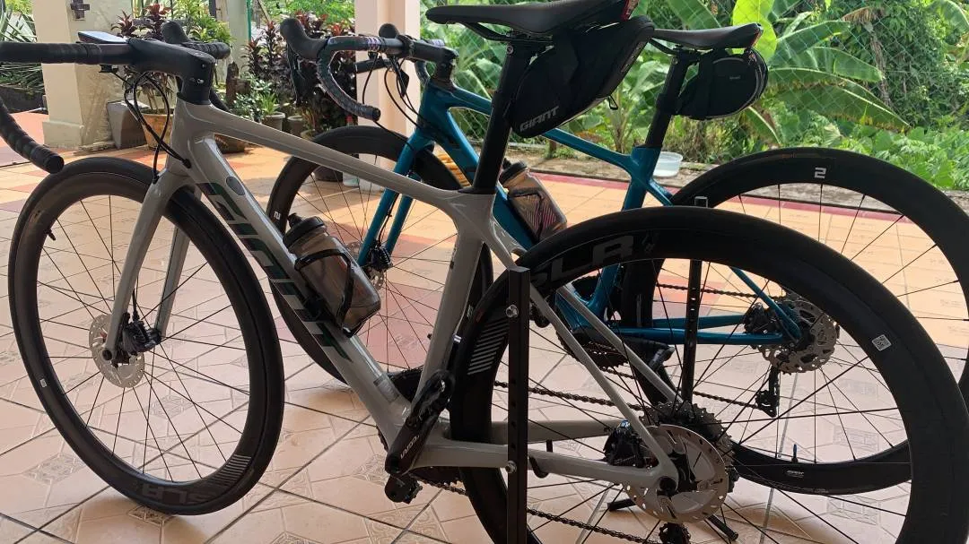 Giant TCR 2020 model