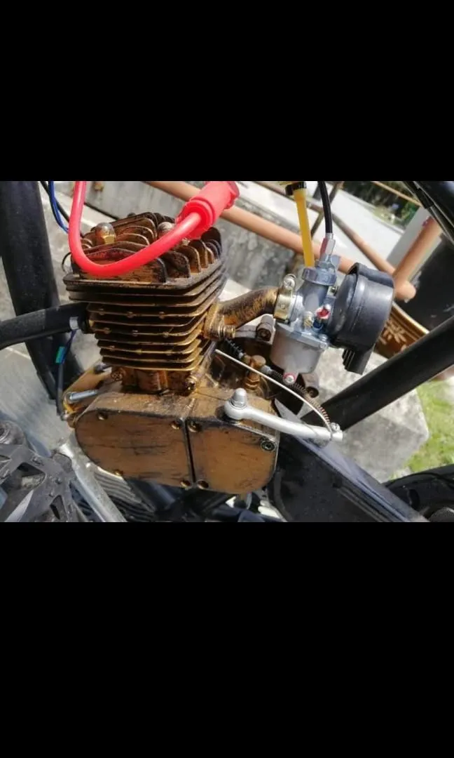 BASIKAL MOTOR 80CC