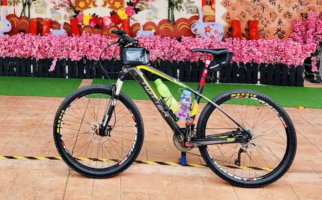 Twitter MTB 27.5 carbon size M