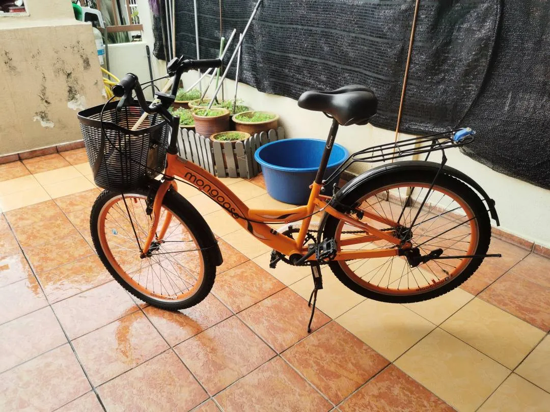 Mongoose 24" Ladies/Market Bicycle