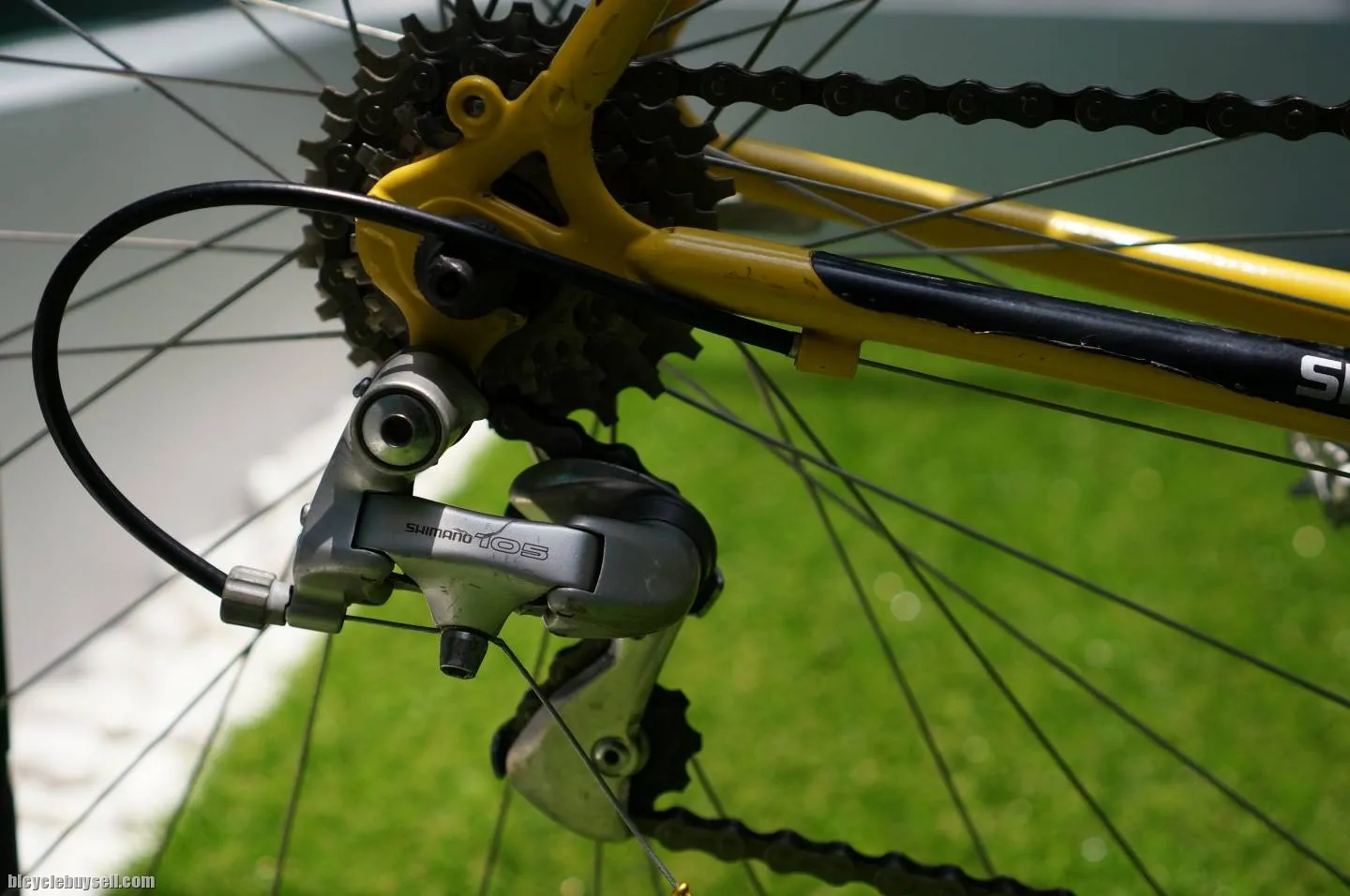 Colnago Classic Vintage Bike