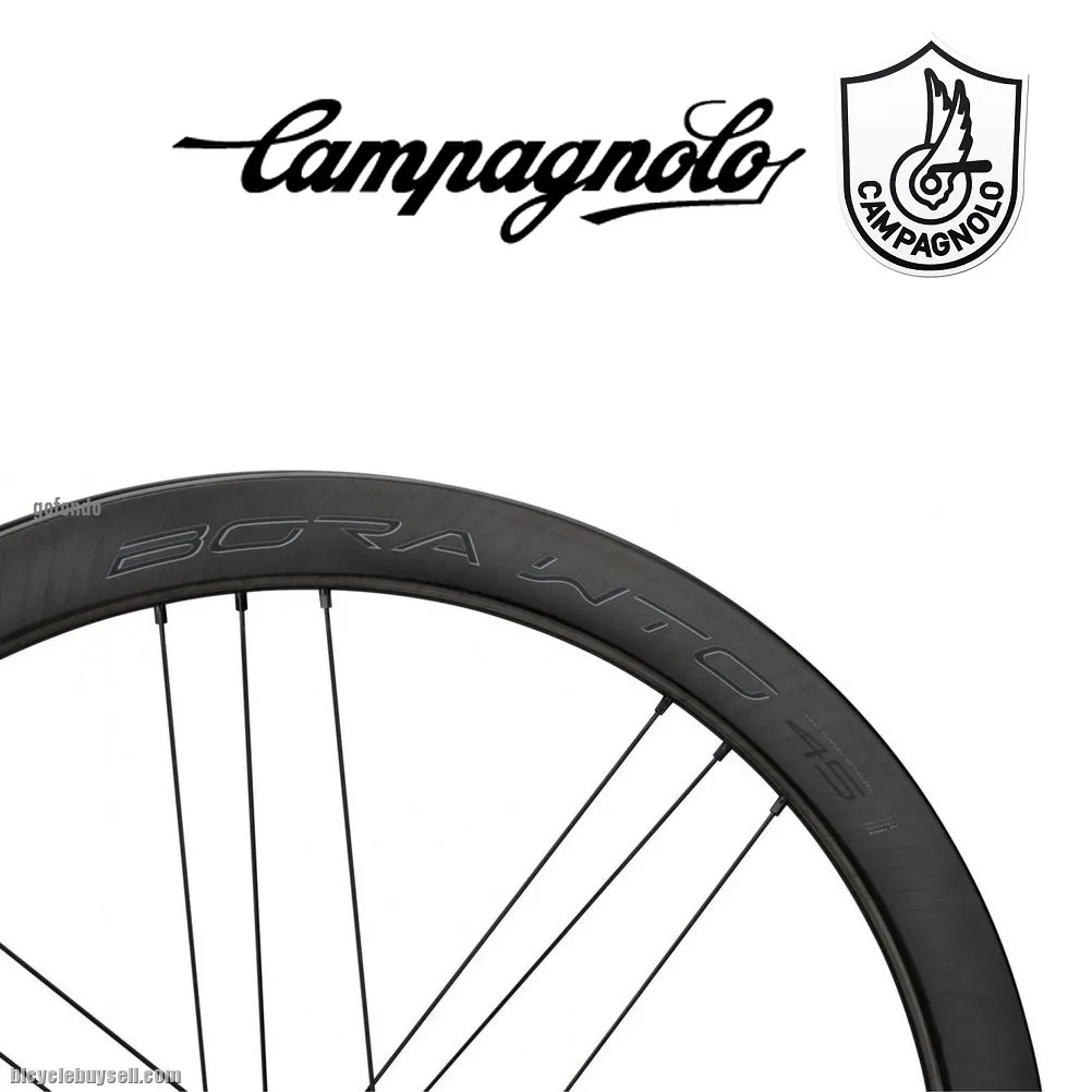 CAMPAGNOLO BORA WTO DISC BRAKE 33/45/60