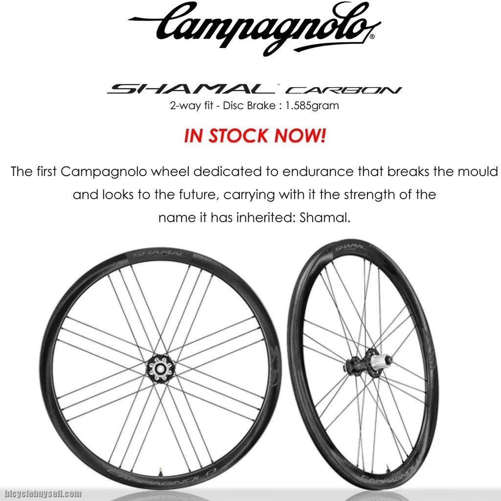 CAMPAGNOLO SHAMAL CARBON DISC BRAKE C21 DB TWO WAY FIT ROAD BIKES ALL ROAD WHEELSET