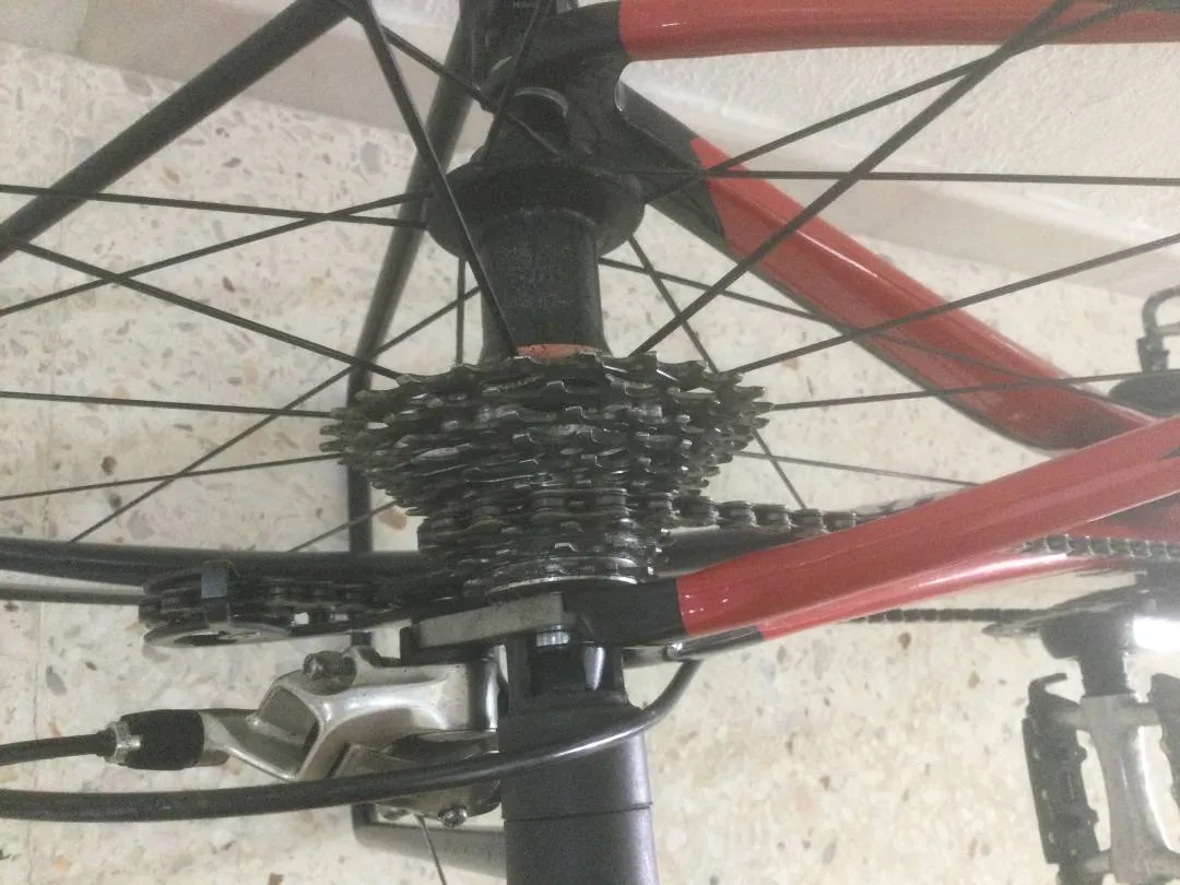 Used Specialized Roubaix RB