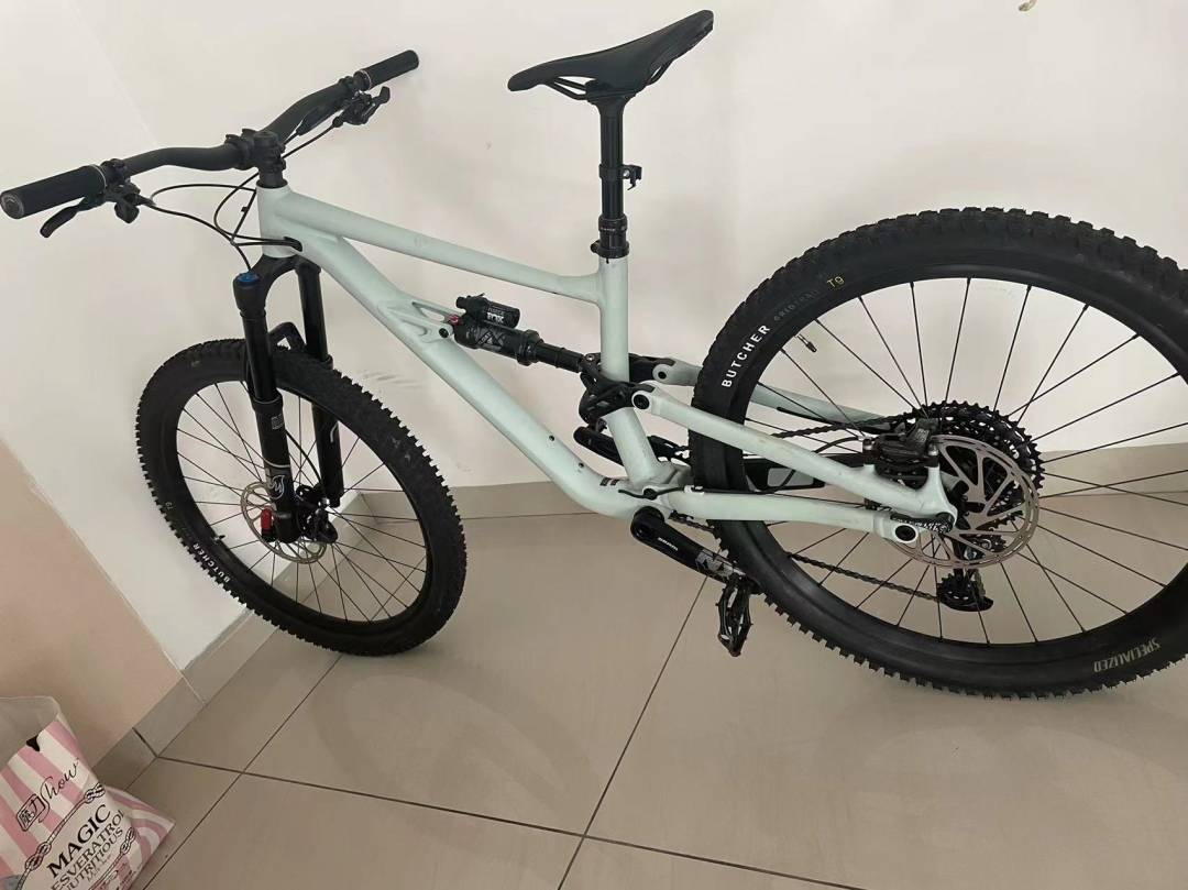 Specialized Status 160