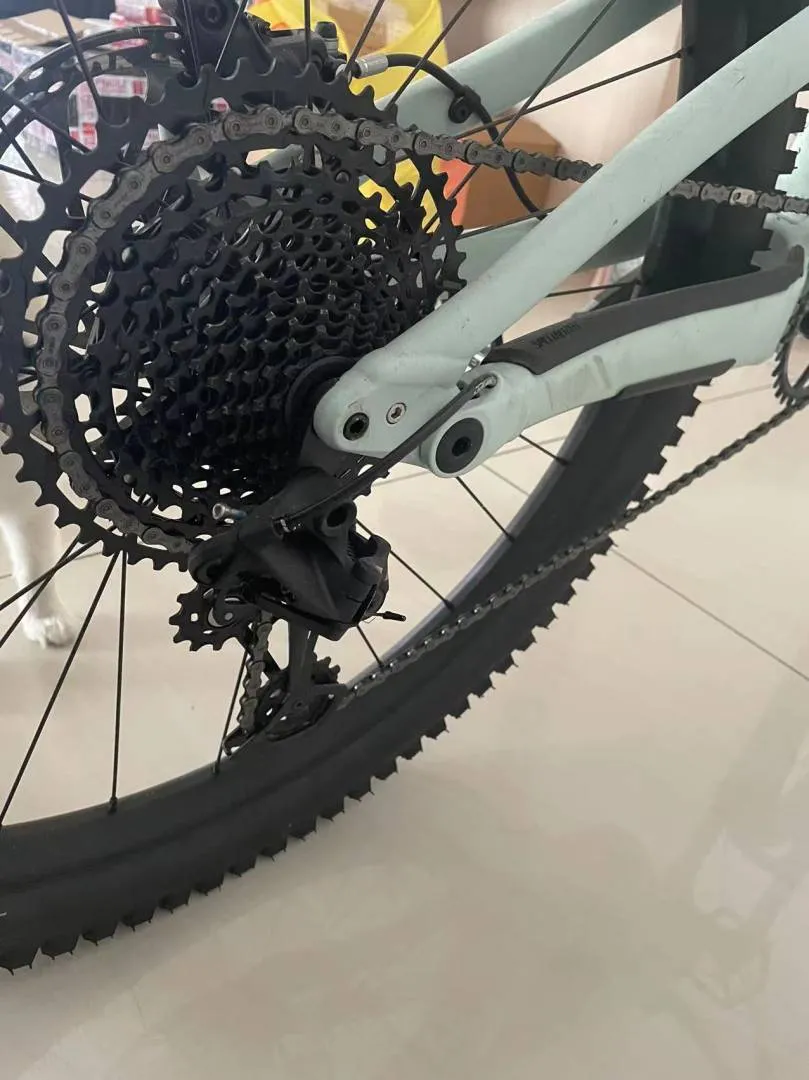 Specialized Status 160