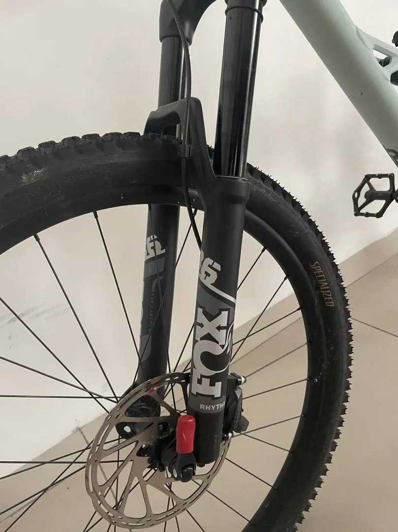 Specialized Status 160
