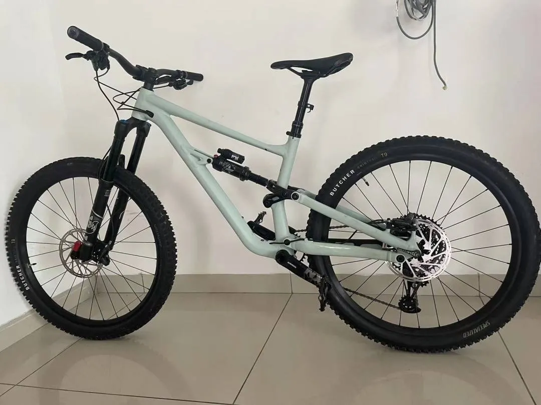 Specialized Status 160