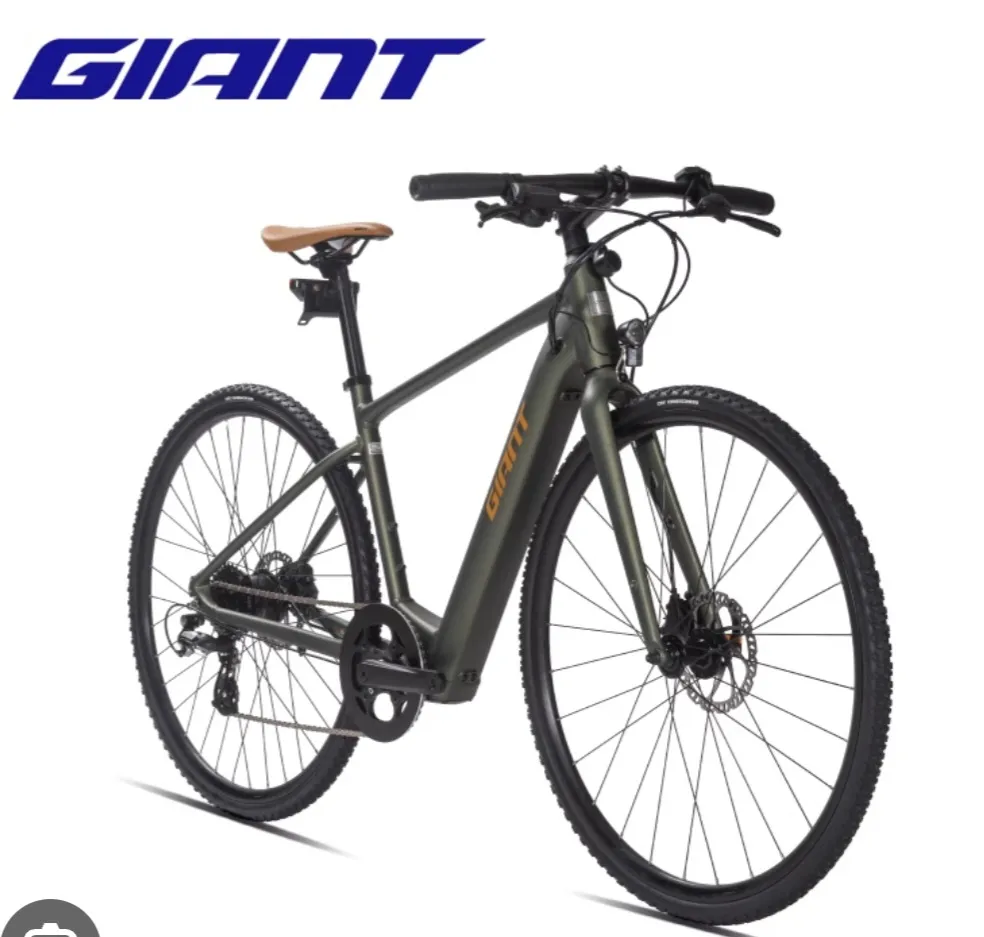 Giant fastroad-e